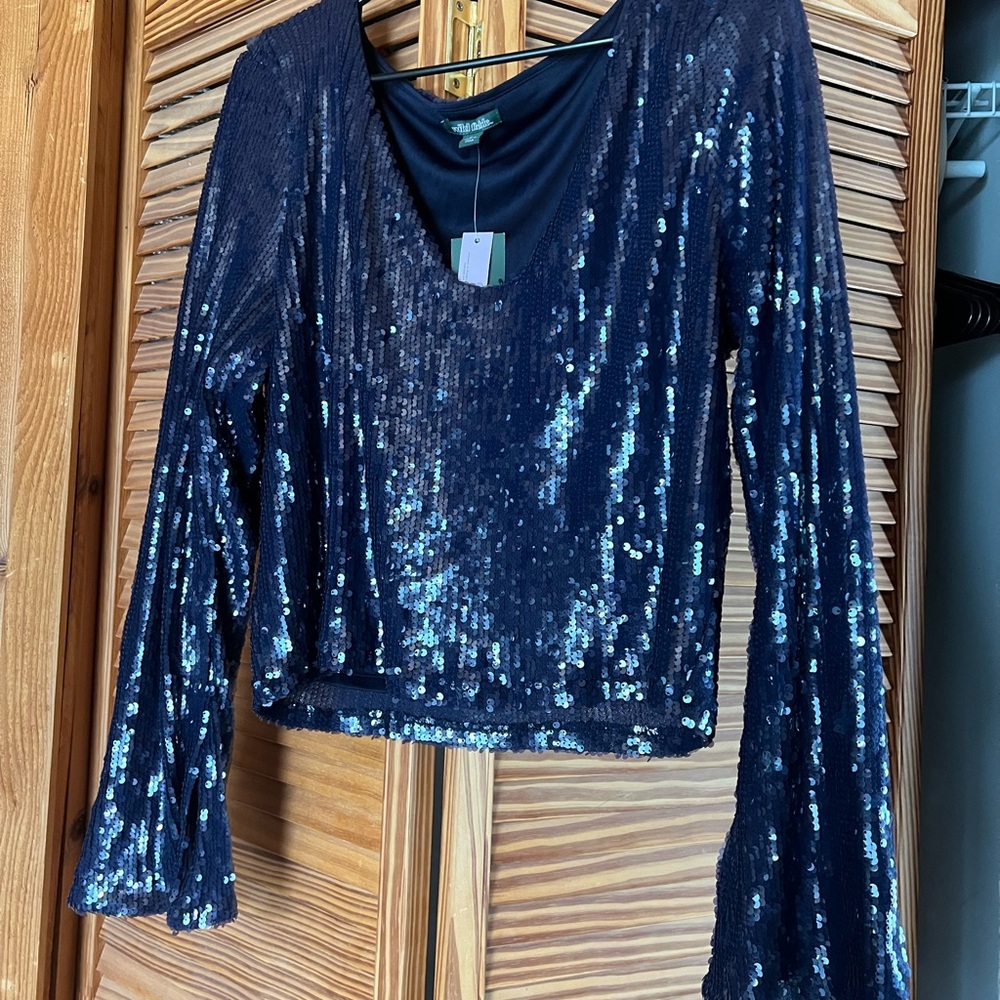 Wild Fable Blue Sequin Long Sleeve Blouse